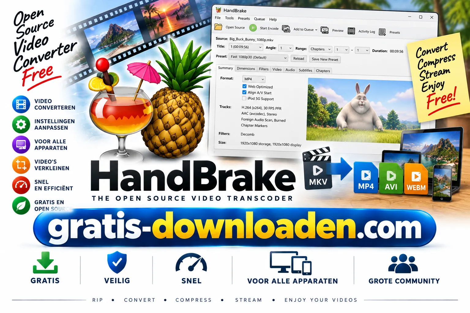 Logo van HandBrake, gratis videoconverter
